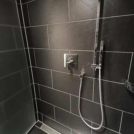 Deichgraf Deichgraf 31-11 *